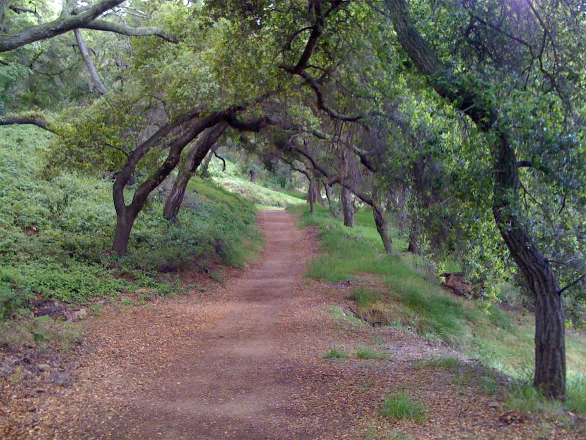 Thousand Oaks SOAR