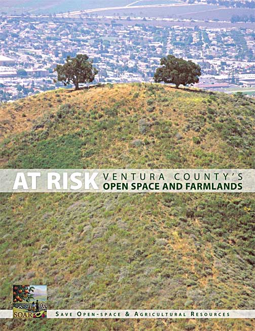 At-Risk-Report-fullpage