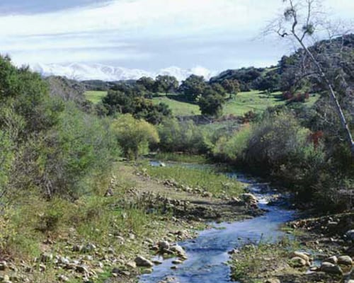 cleaner-air-conservingwater cleaner-air-conservingwater