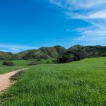 Keeping the Open Space in Parks